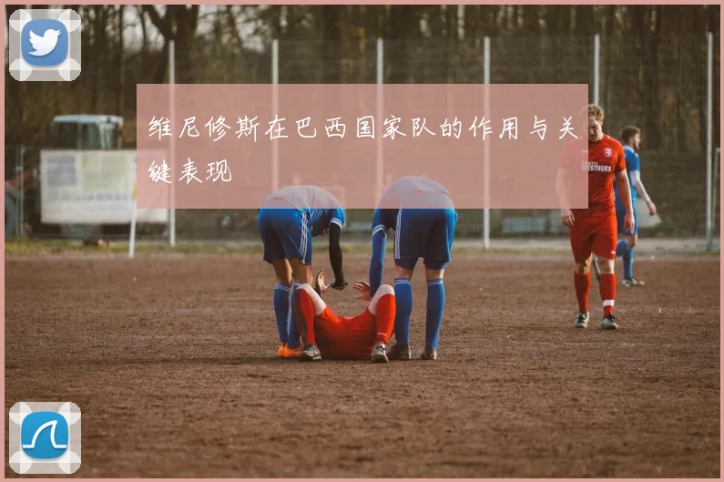 维尼修斯在巴西国家队的作用与关键表现